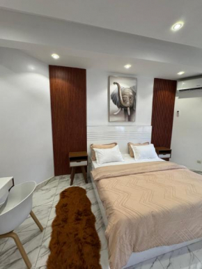 logement luxueuse au pieds du monument de la renaissance africaine